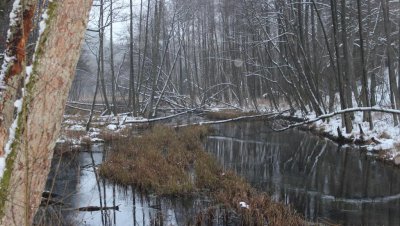 Wycieczka „Doliną rzeki Kulawy”