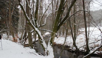 Wycieczka „Doliną rzeki Kulawy”