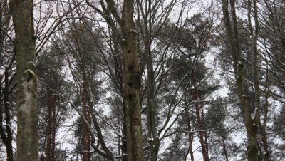 Wycieczka „Doliną rzeki Kulawy”