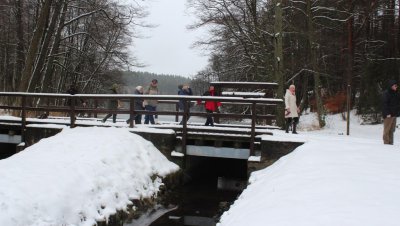 Wycieczka „Doliną rzeki Kulawy”