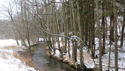 Wycieczka „Doliną rzeki Kulawy”