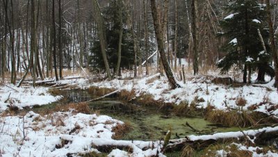 Wycieczka „Doliną rzeki Kulawy”