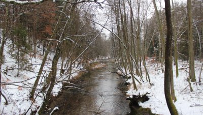 Wycieczka „Doliną rzeki Kulawy”